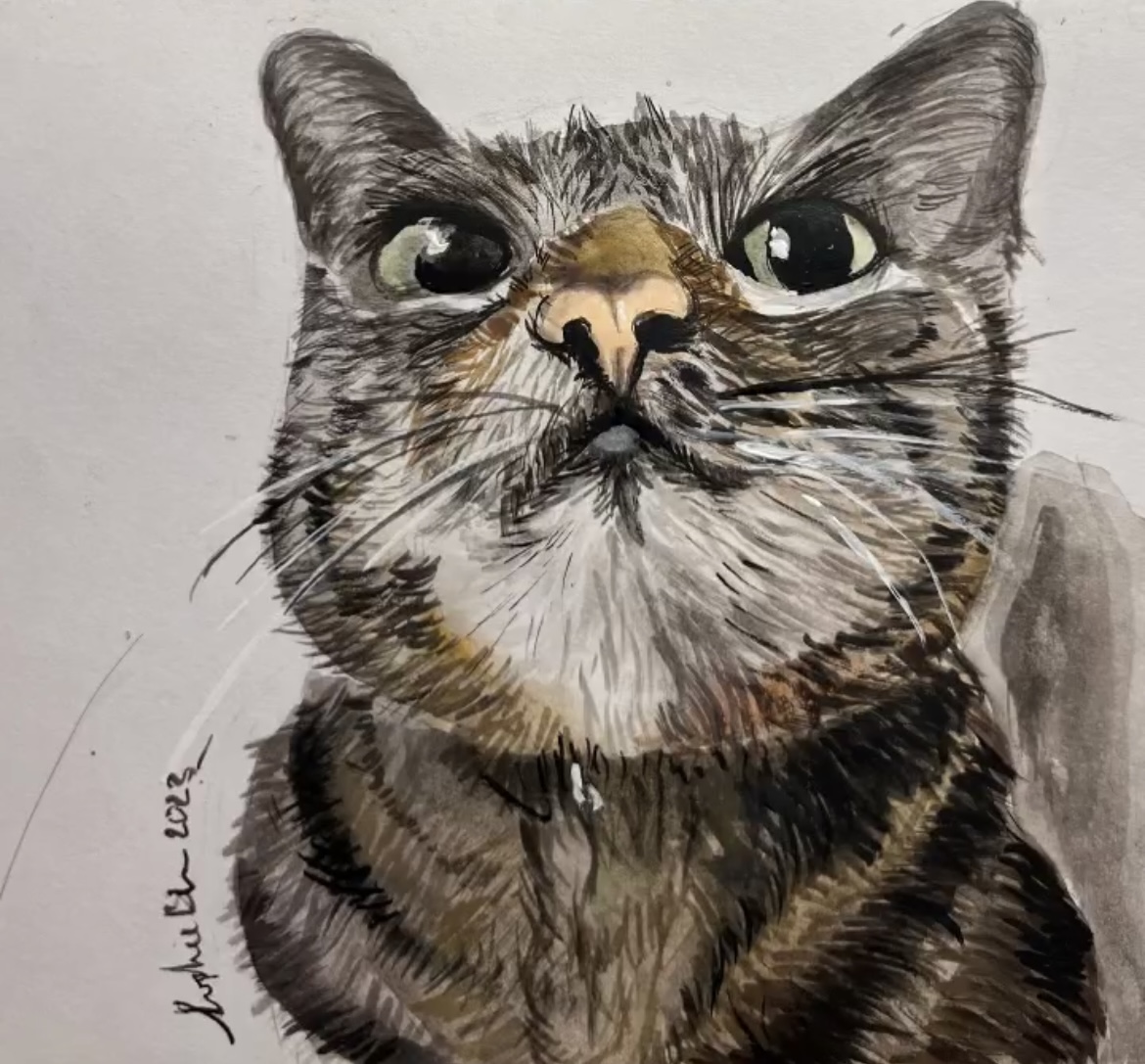 image of my friend's cat