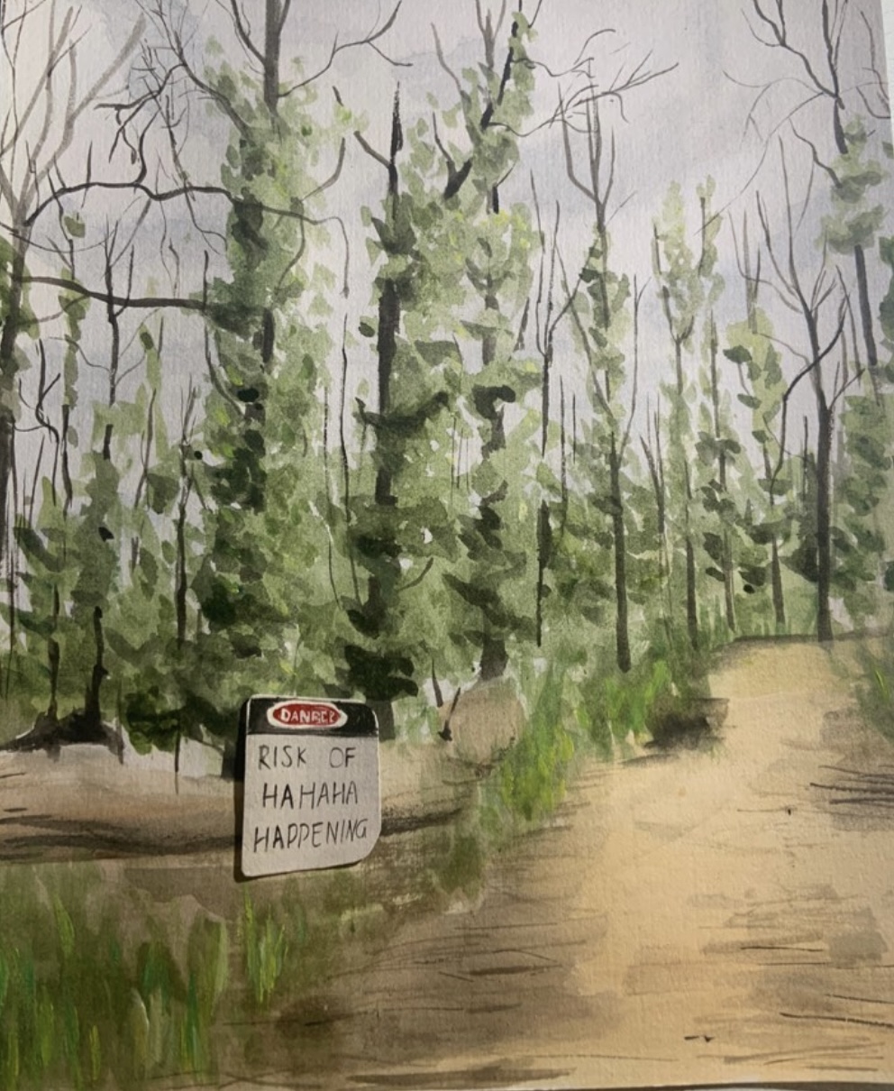 bush walk